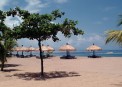 Bali Tropic: 